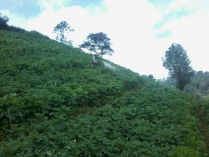 IMG-20180422-WA0055