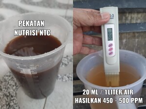 IMG-20220717-WA0055