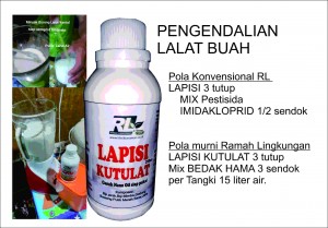 LAPISIkutulat LALATBUAH