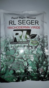 32901540_8ada411e-3c8b-437a-82cc-674515a144f7_576_1024